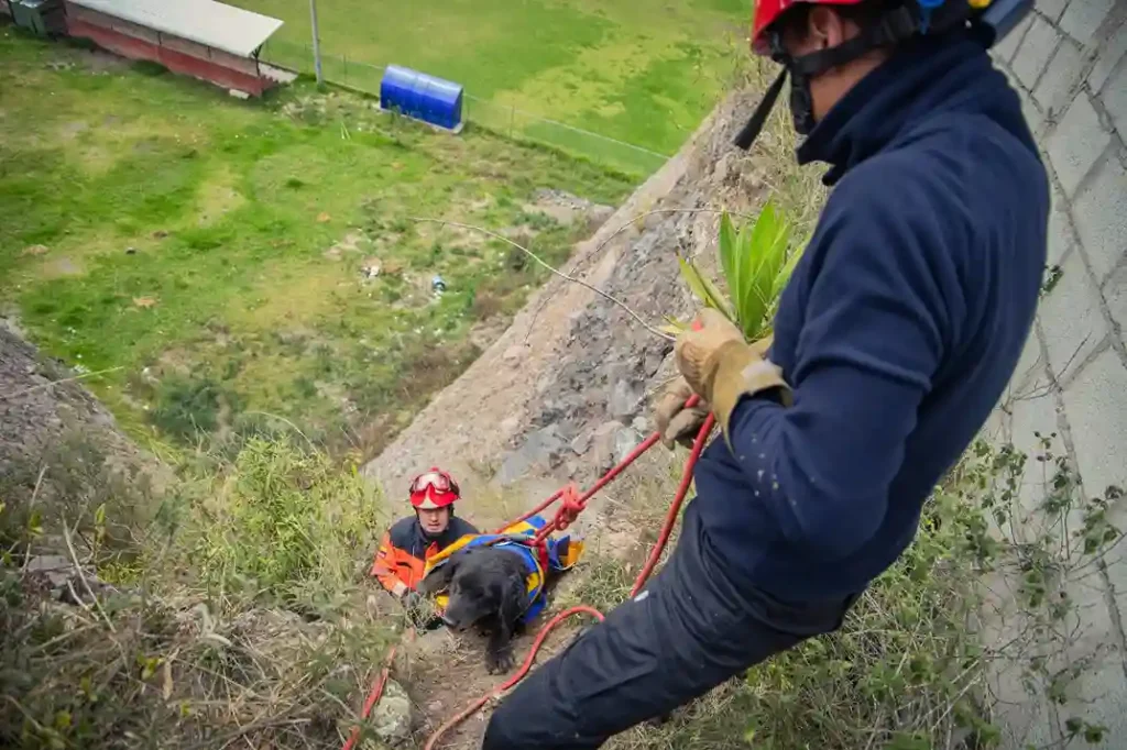 Rescataron a perrito que cayó en una quebrada en Guano
