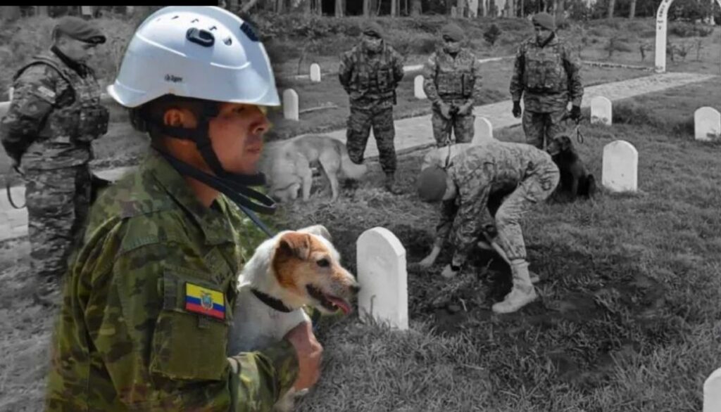 Murió 'Estrellita' la can rescatista del Ejército Ecuatoriano