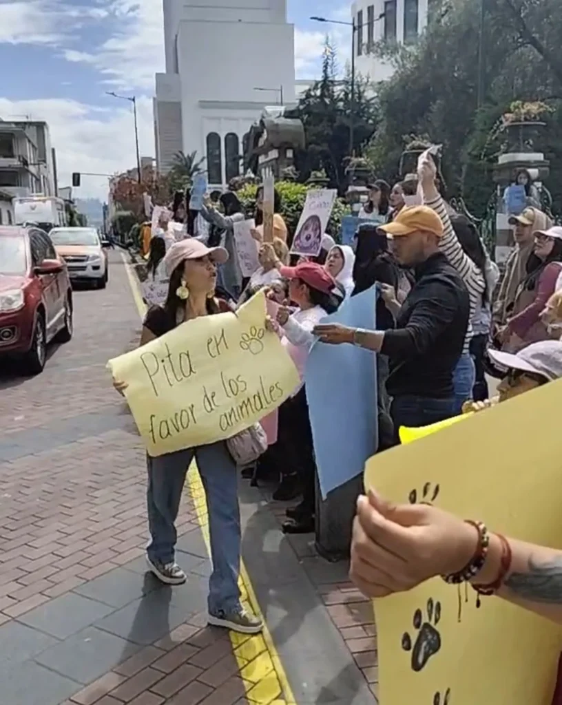 Ciudadanos piden justicia para la perrita ‘Matilda’, en Ambato.