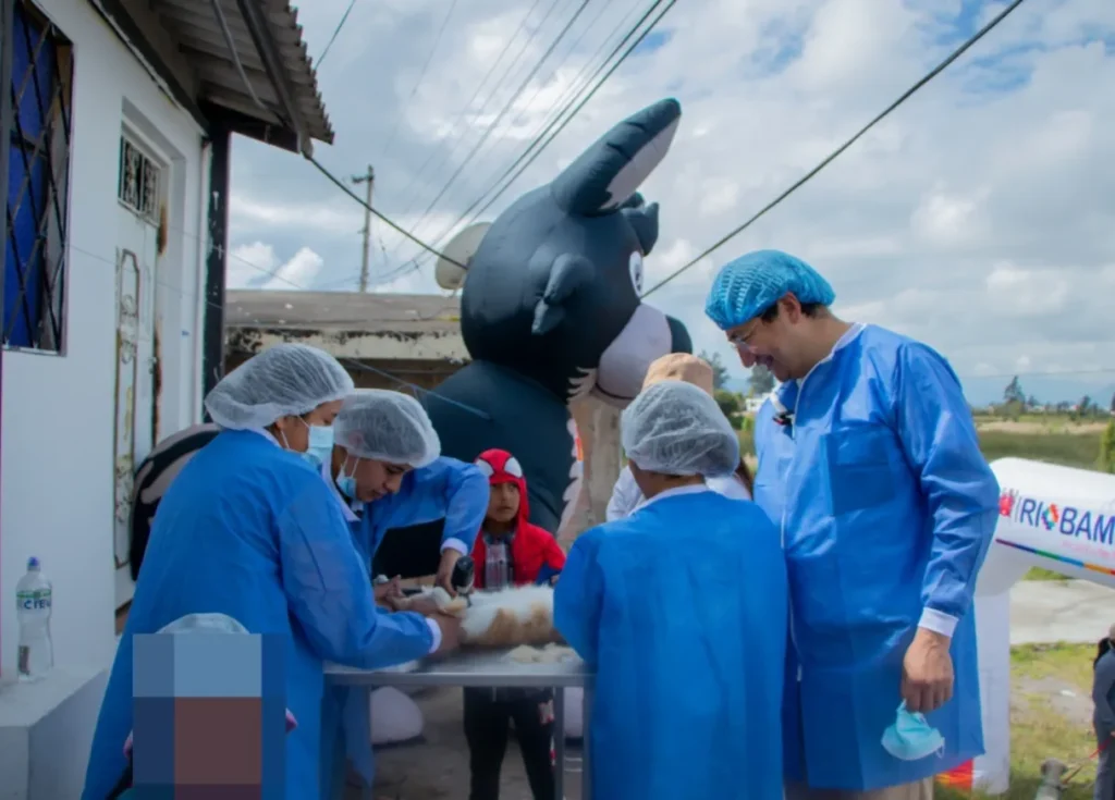 Esterilizaron a 50 animales