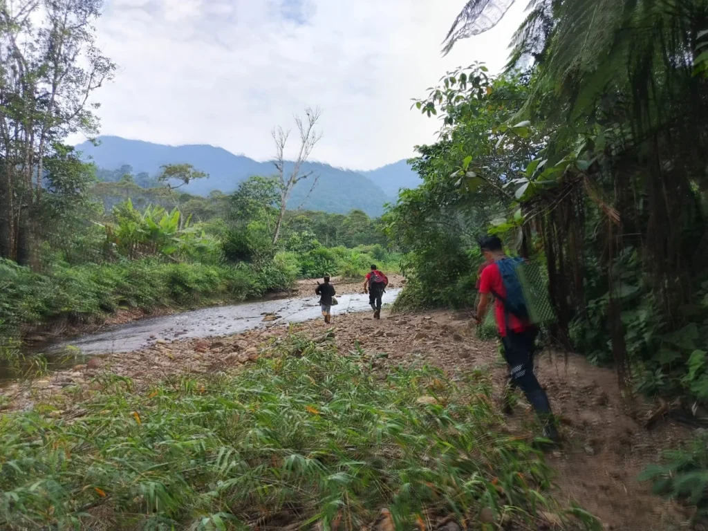 En Morona Santiago niño desapareció en la selva