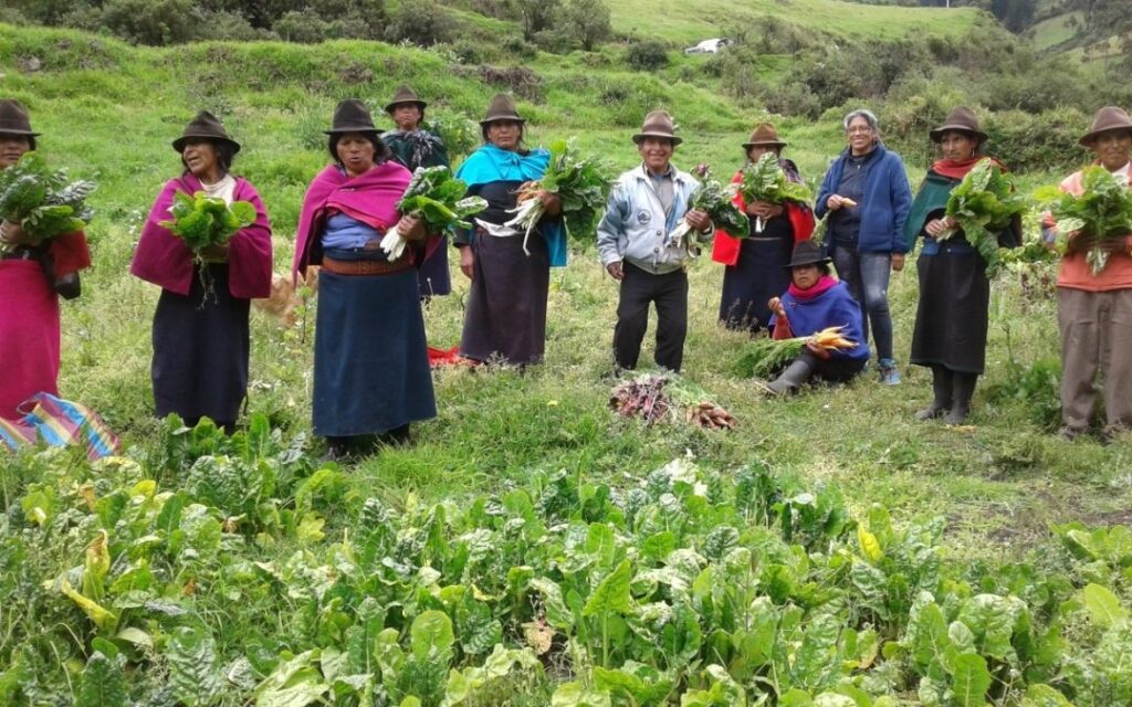 Feria Orgánica Enfrenta Competencia Desleal de Productos Químicos