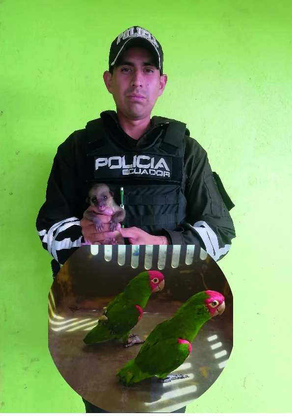 Bolívar impulsa protección de fauna con rescate exitoso