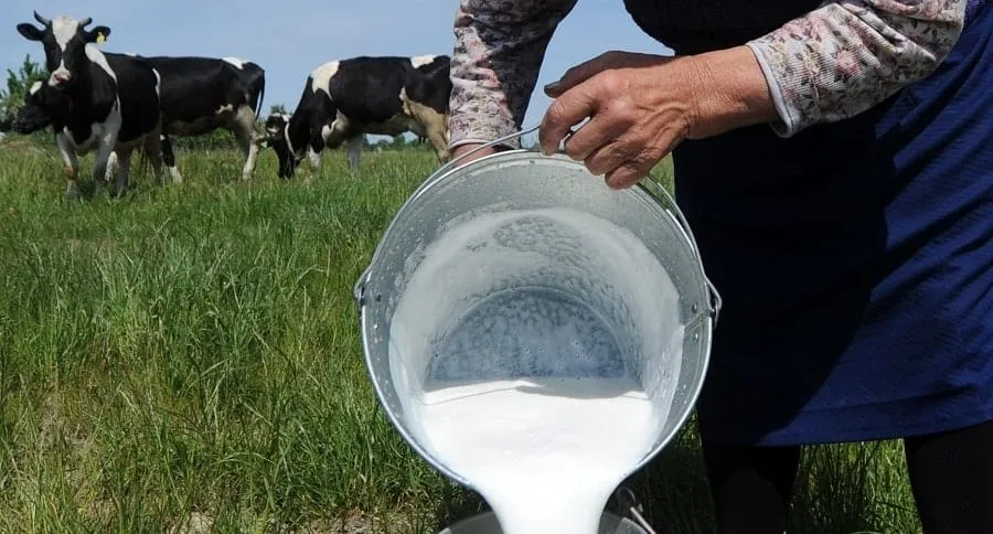 Ecuador exportará leche a El Salvador, pero no es la primera vez