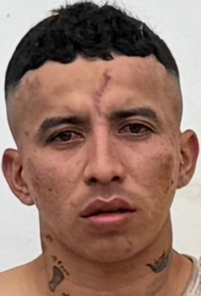 Cámara captó el secuestro de una mujer en su local
