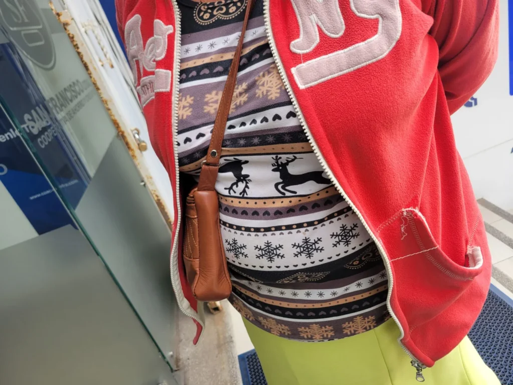 La cartera de la que los antisociales se apropiaron del dinero