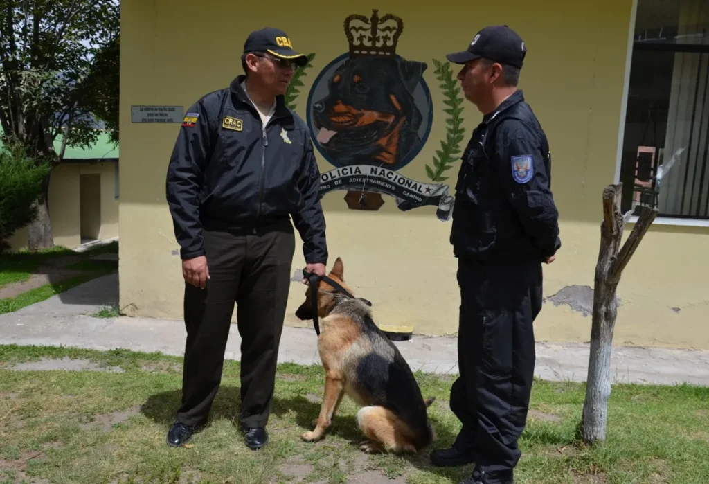 Policía ofrece curso gratuito de adiestramiento canino