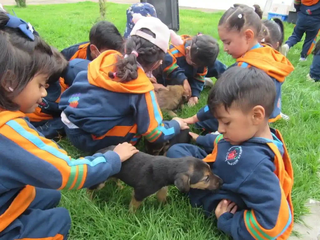 Centro de cuidado de perros visitado por niños de 3 a 4 años