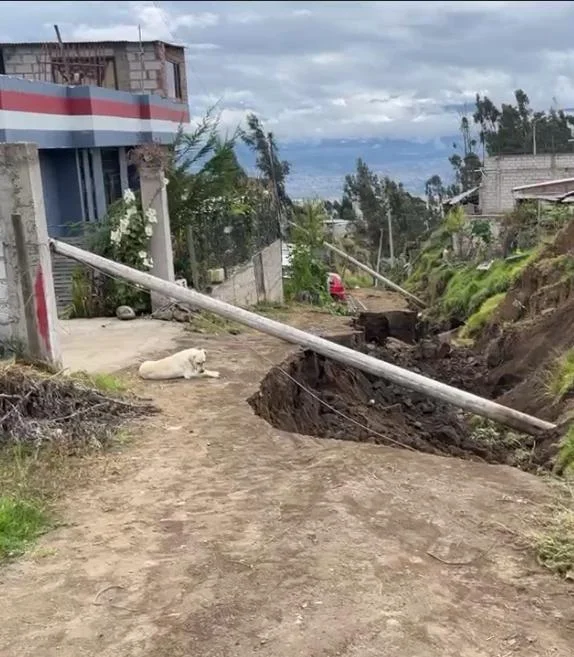 Ambato postes caídos en vía causan preocupación en Santa Rosa.