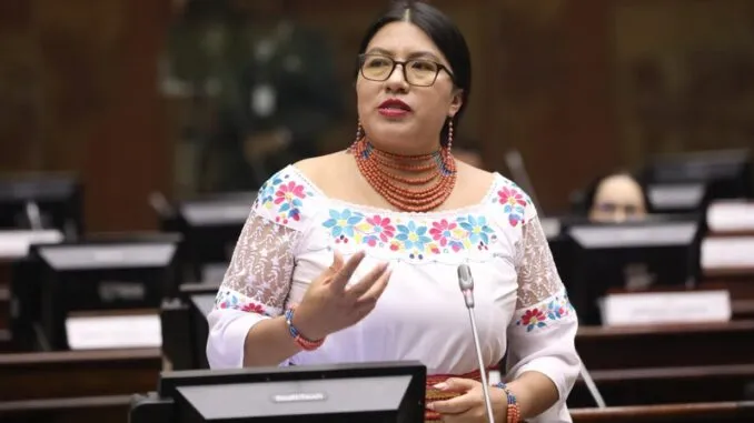 Asambleístas de Pachakutik si votaron por la Ley de Solidaridad