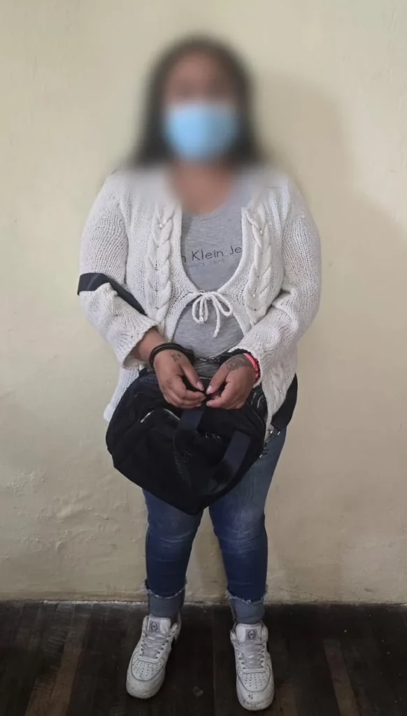 Mujer detenida por la Policía Nacional tras robar en confitería