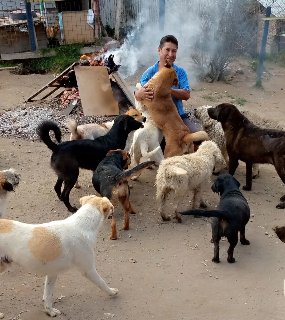 Hombre rescata y cuida 240 perros en Riobamba