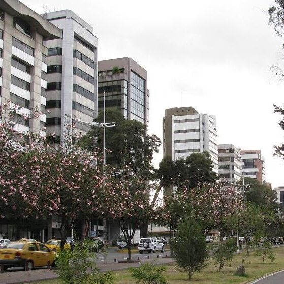 Hombre apareció colgado de un árbol en el parque La Carolina