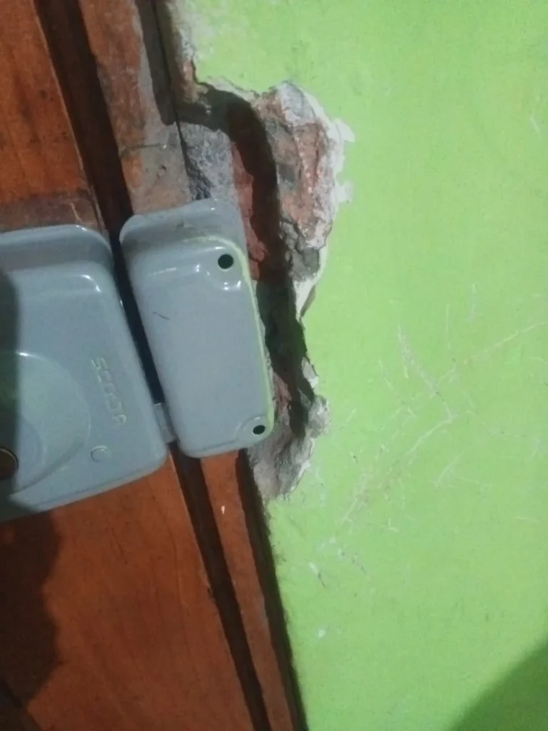 Perros protegían casa de un presunto robo antes de brutal ataque