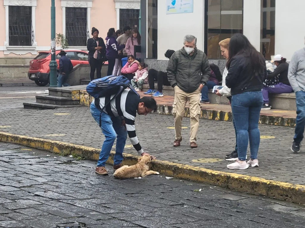 Daniel Avendaño, de inmediato, se acercó a auxiliar al perrito, junto a la joven de chompa negra
