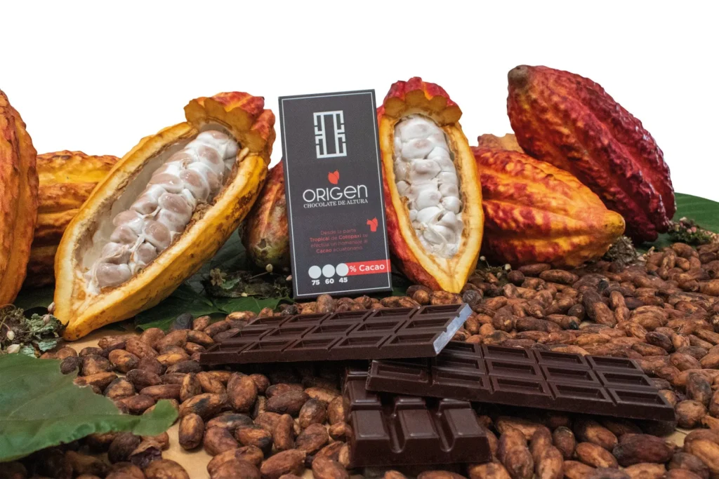 Chocolate Origen: sabor de Cotopaxi con proyección internacional