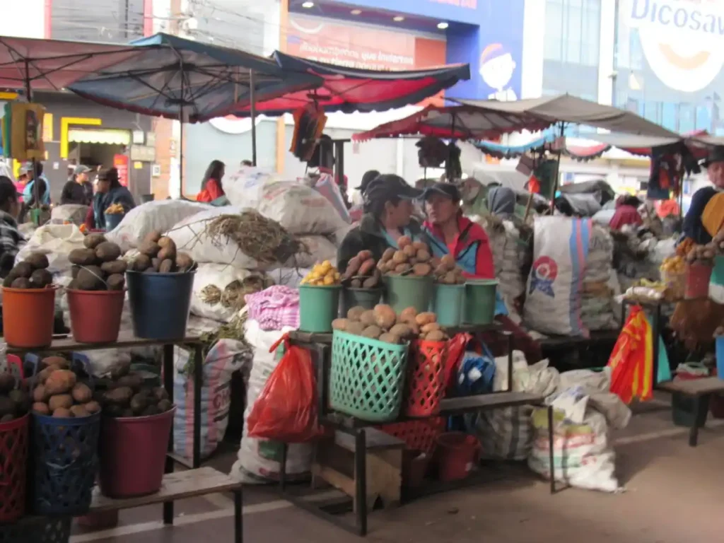Sube el plátano maduro en los mercados de Riobamba