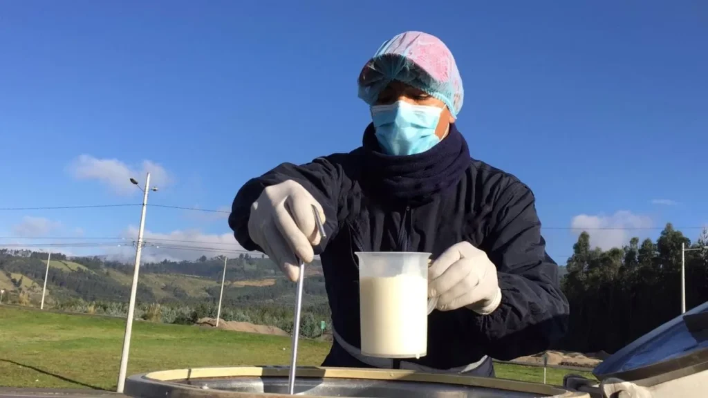 Precio mínimo de leche cruda en Cotopaxi: 50 centavos por litro
