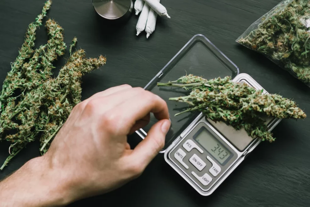 Tabla de consumo de drogas con nueva Ley ¿Qué cambió?
