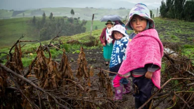 Desnutrición crónica infantil, problemática que afecta a Chimborazo