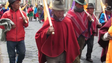 Elecciones 2025: 77 movimientos y partidos políticos habilitados