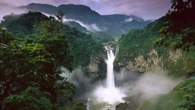 Gobierno Ecuatoriano entregara un millón de dólares al Parque Nacional Yasuní