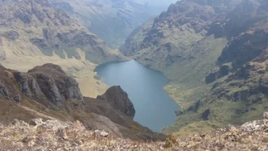 Antes de su muerte los cuvivís sobrevuelan las comunidades de Ozogoche, y con su trinar llaman la atención a la población.