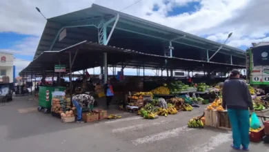 ¿Por qué el mercado Mayorista no crece?