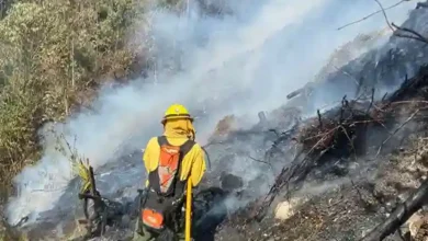 Fuertes vientos reactivan incendio forestal en Guápulo, Quito