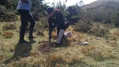 Unach: educación y proyecto para la conservación del ambiente.