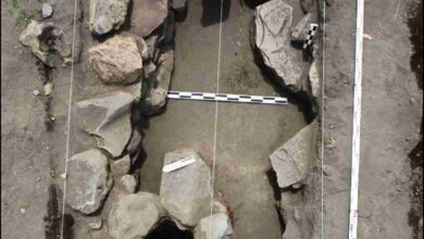 Guano revela descubrimientos arqueológicos