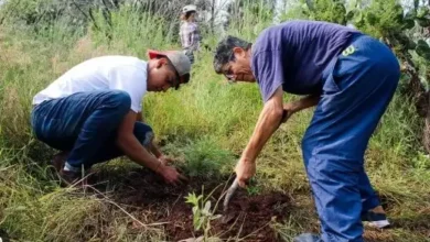 Jóvenes y Municipio Riobamba reforestarán páramos incendiados con apoyo de la prefectura.
