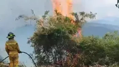 12 días de incendios Pallatanga: ¿Cómo activar COE el Provincial?