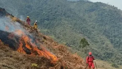 El cantón Pallatanga lleva 7 días de incendios forestales provocados