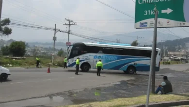 Riobamba: la plaza de rastro en la parroquia de Calpi servirá para la feria de animales los días sábados.