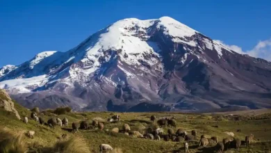 Volcán Chimborazo: cómo llegar, costos y mejor temporada