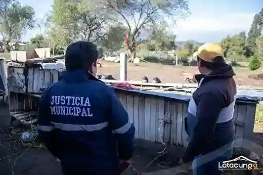 Un caso de maltrato animal se dio en Latacunga: un mujer colgó a 3 perros, y ahora deberá afrontar sanciones por aquello