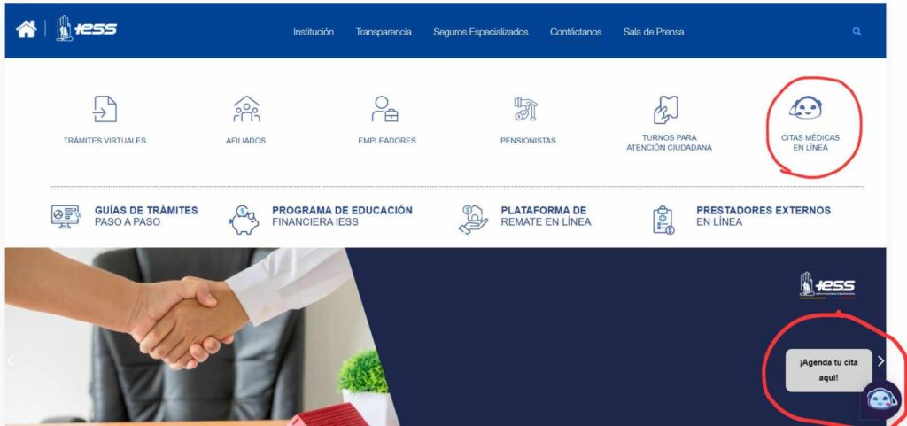 Página Web del IESS.