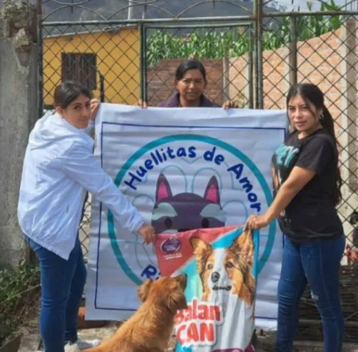 Huellitas de Amor Riobamba que alberga perros necesita ayuda