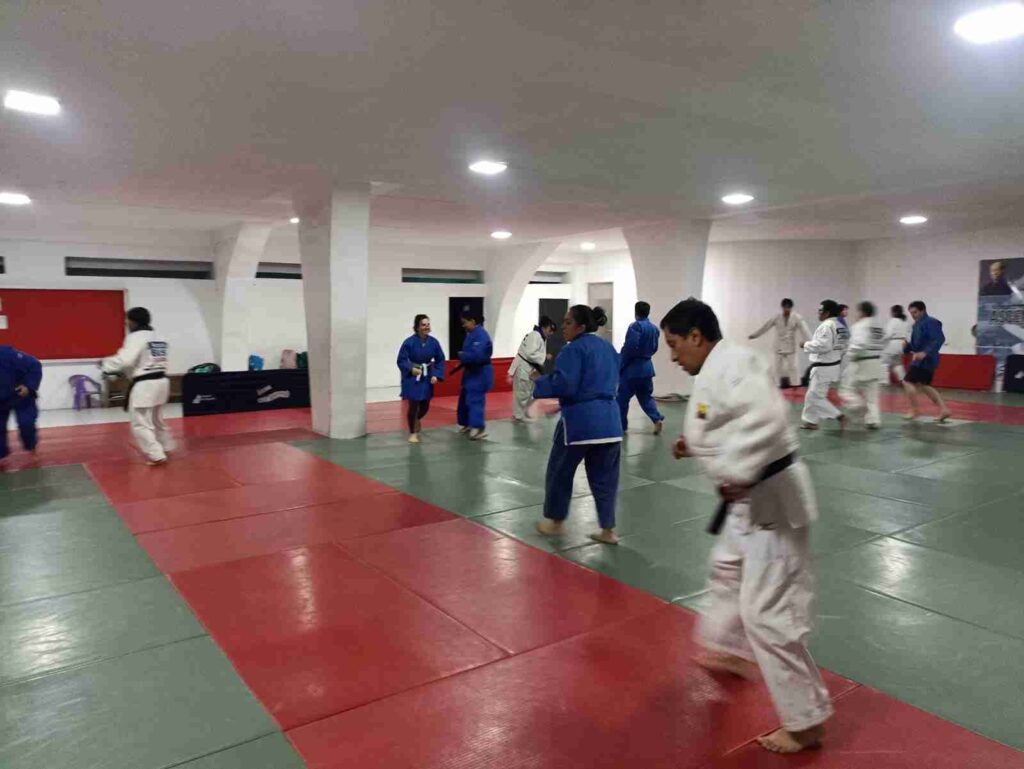 Unos 5.000 deportista de la disciplina judo en todo el mundo realizarán entrenamiento masivo y simultáneo.