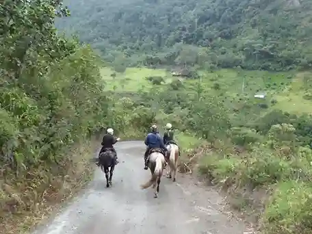 Una joven de 20 años de edad murió al bajar del nevado El Altar. Un paseo a caballo fue 'el pretexto' para que la muerte opere