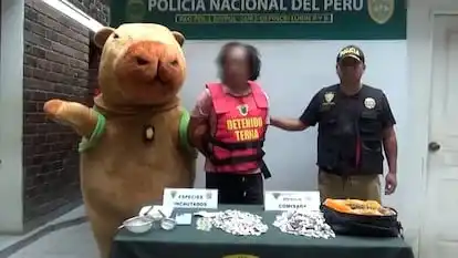 Policía en Perú captura a narcotraficante con disfraz de capibara