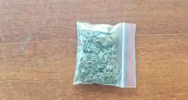 Esta funda con marihuana hizo que aprehendan a la joven Marilyn P.