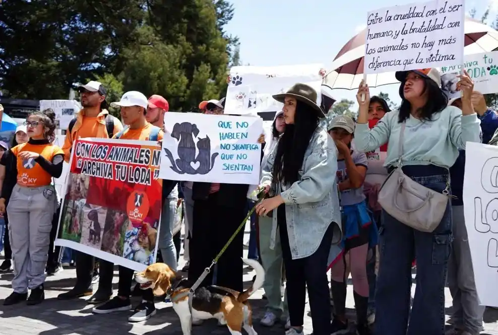 Marcha por los derechos de los animales en Riobamba.