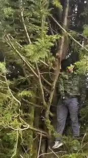 Un militar en servicio activo se ahorcó en un árbol del cantón Guano. Tenía 38 años y escribió un mensaje a su esposa por última vez