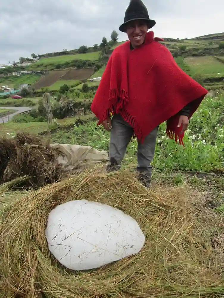 Hieleros del Chimborazo: Juan Ushca es el nuevo protagonista