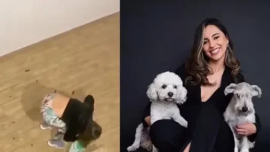 Video: Mujer influencer denunciada por golpear a dos perros bebés