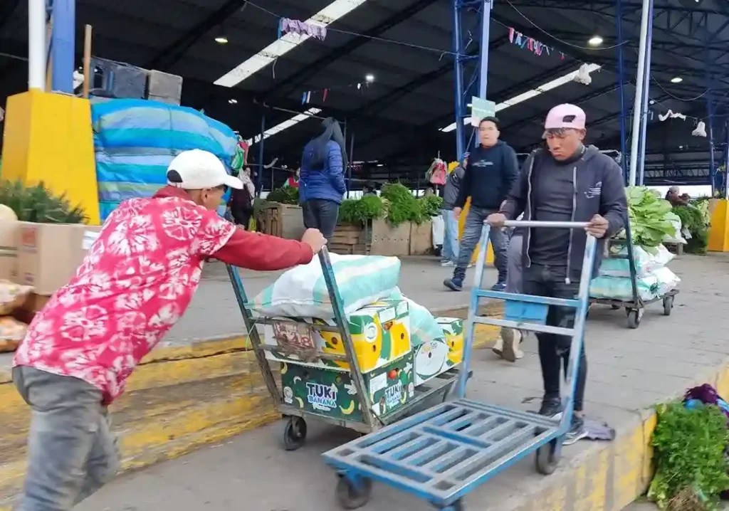 Proponen un nuevo Mercado Mayorista en el norte de Riobamba 