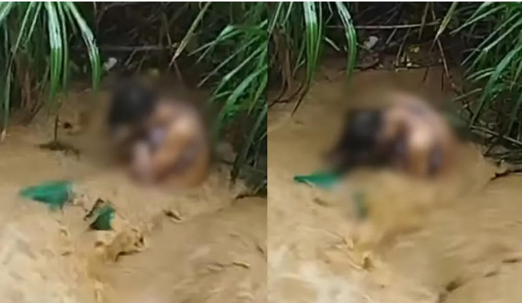 A Mujer trans le rompieron brazos y piernas, la arrojaron al río viva