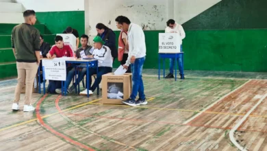 Consulta tu lugar de votación de las elecciones 2025
